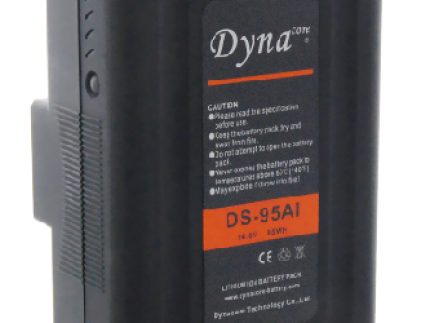 DS-95AI/SI